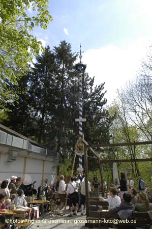 060501brunnwart_maibaum31