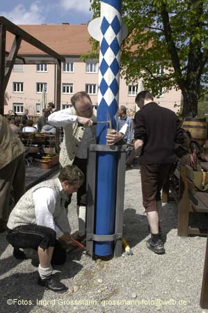 060501brunnwart_maibaum36