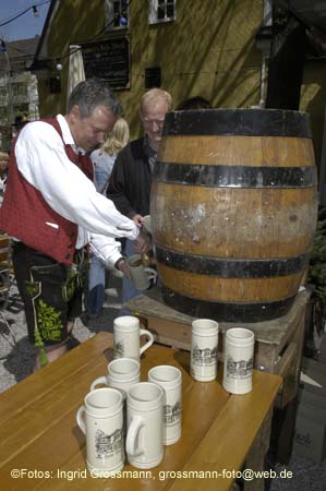 060501brunnwart_maibaum40