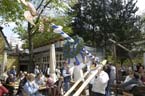 060501brunnwart_maibaum15