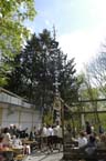 060501brunnwart_maibaum30