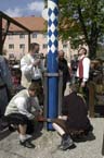 060501brunnwart_maibaum34