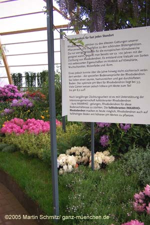 050524buga_koehler044