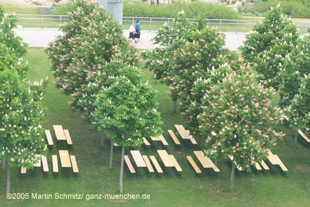 050524buga_koehler119