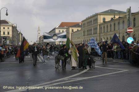 060312ig_01st_patricks22