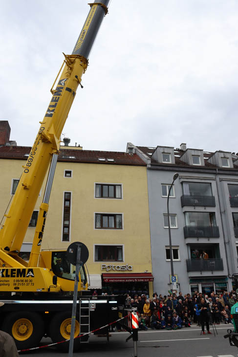 230501maibaum-laim016