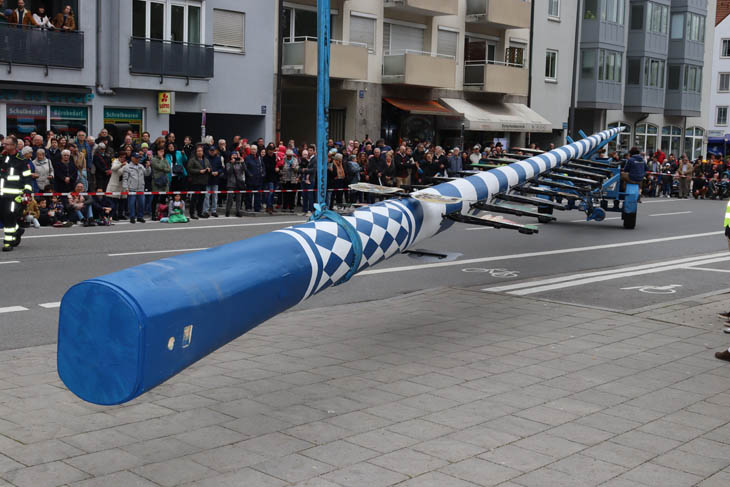 230501maibaum-laim022