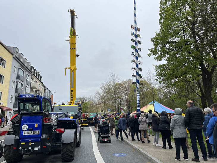 230501maibaum-laim035