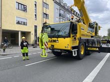 230501maibaum-laim003