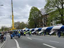 230501maibaum-laim007