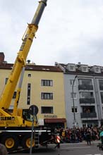230501maibaum-laim016