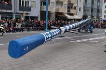 230501maibaum-laim022