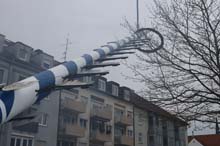 230501maibaum-laim029