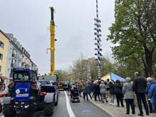230501maibaum-laim035