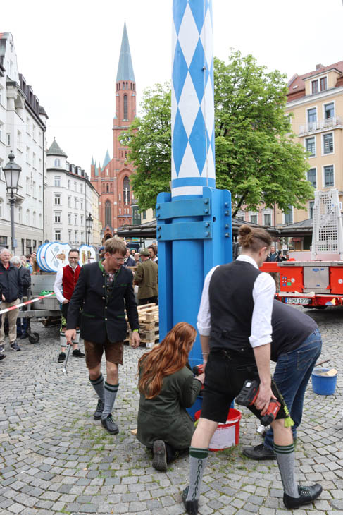 230430maibaum-wiener019