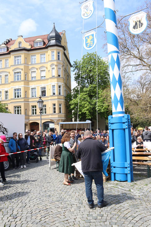 230430maibaum-wiener036