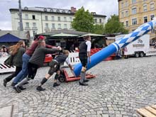 230430maibaum-wiener002
