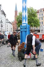 230430maibaum-wiener019