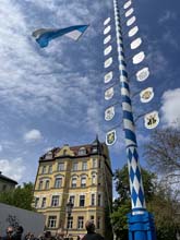 230430maibaum-wiener038