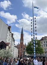 230430maibaum-wiener048