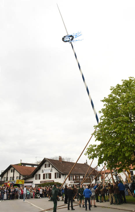230501ig-maibaum-uhg012