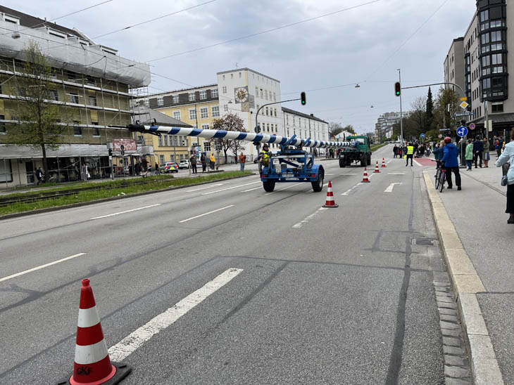 230501maibaum-laim005