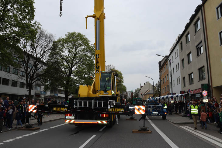 230501maibaum-laim009