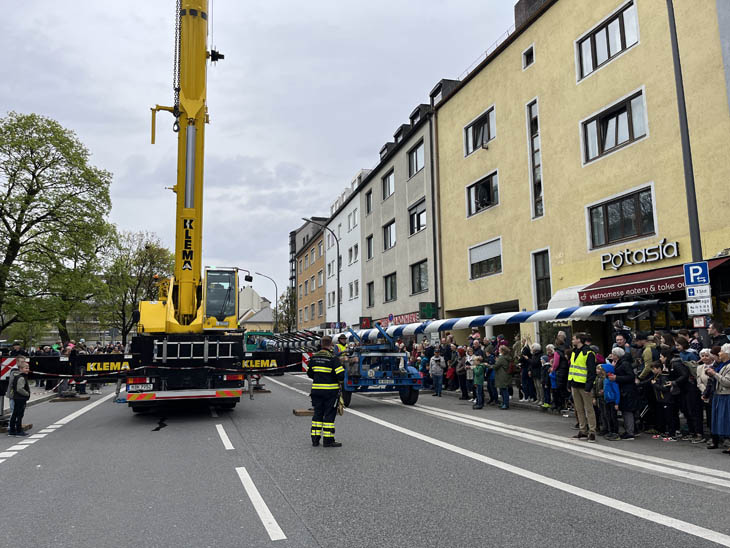 230501maibaum-laim010