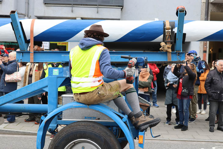 230501maibaum-laim012