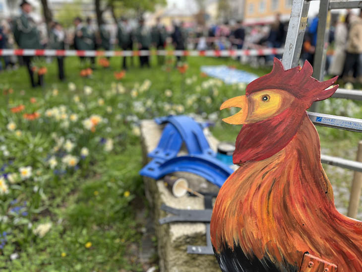 230501maibaum-laim019