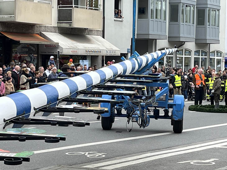 230501maibaum-laim025