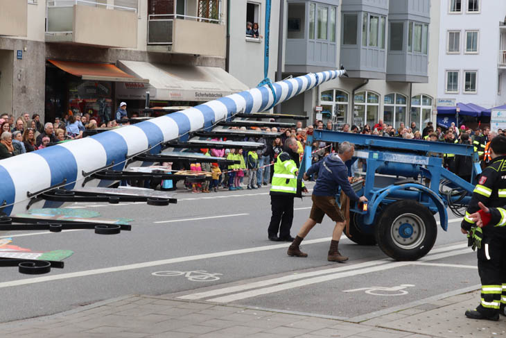 230501maibaum-laim026