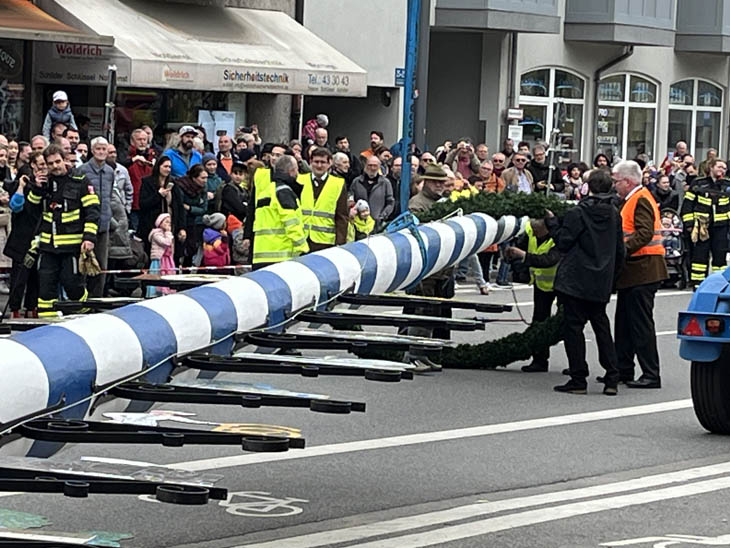 230501maibaum-laim027