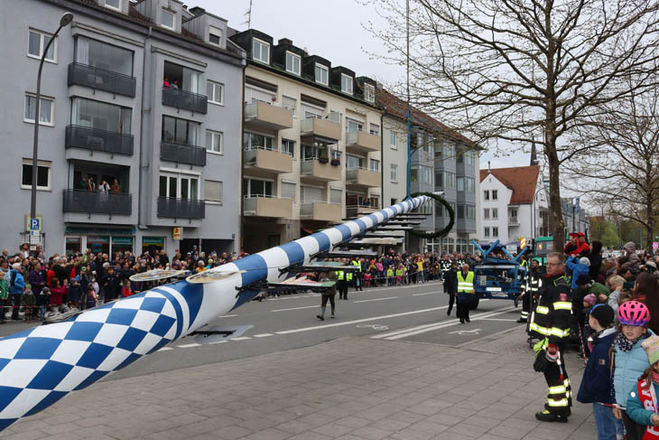 230501maibaum-laim028