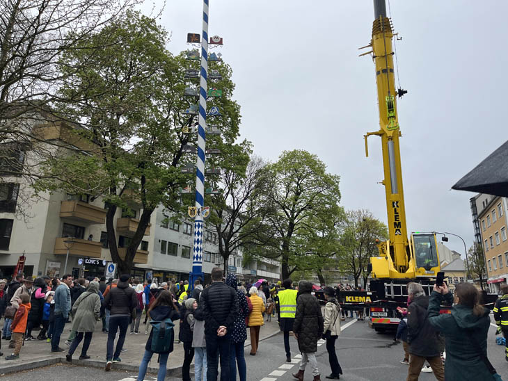 230501maibaum-laim032