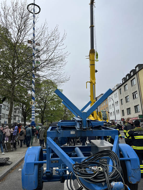 230501maibaum-laim033