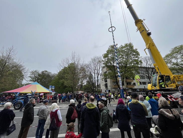 230501maibaum-laim036