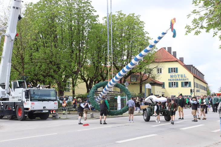 230430maibaum-riem033
