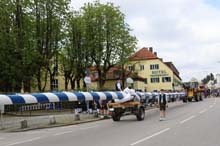 230430maibaum-riem011