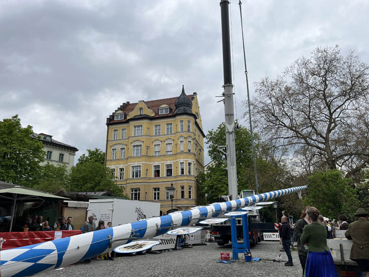 230430maibaum-wiener001