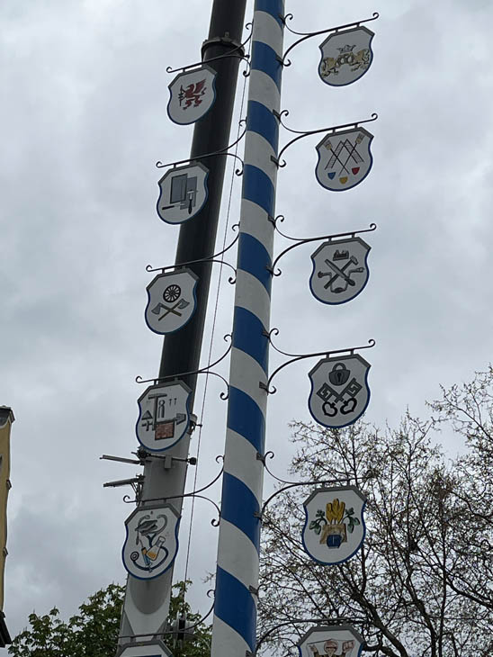 230430maibaum-wiener005