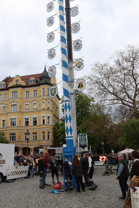 230430maibaum-wiener006