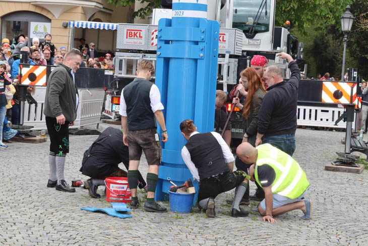 230430maibaum-wiener008