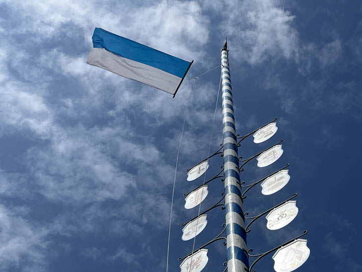 230430maibaum-wiener040