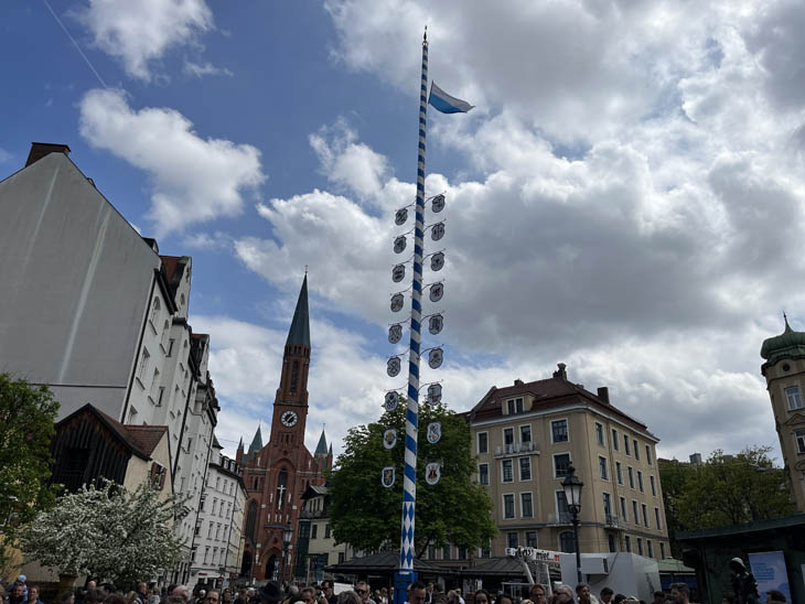 neuer Maibaum am Wiener Platz 2023 (©Foto: Martin Schmitz)