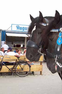 Augustiner Gespann vor der Augustiner Kantine (Foto: Marikka-Laila Maisel)