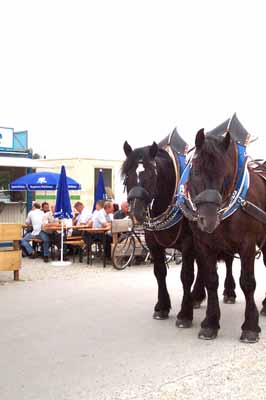 Augustiner Gespann bei einer "Trainings-Einheit" vor der Augustiner Kantine (Foto: Marikka-Laila Maisel)