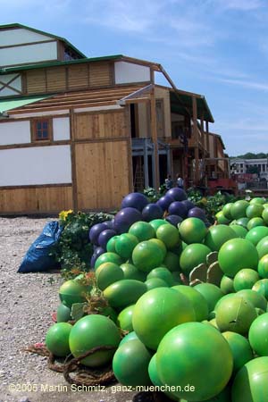 050818wiesnaufbau_weinzelt2