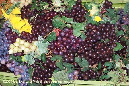 050829wiesnaufbau_weinzelt1