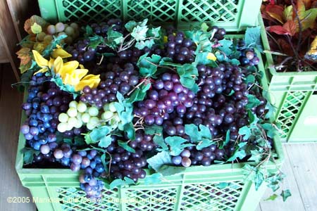 050829wiesnaufbau_weinzelt4